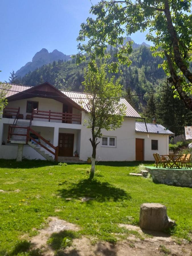 Bed and Breakfast Bujtina Arlindi à Valbone Extérieur photo